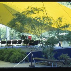 1978 First Graduation Ceremony Nathan 26