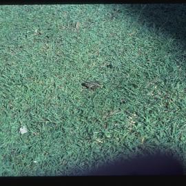 1978 First Graduation Ceremony Nathan 27