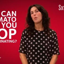 How Can a Tomato Help You Stop Procrastinating?