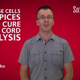 How Nose Cells and Spices Could Cure Spinal Cord Paralysis