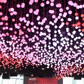 2019 Graduation Ceremony Singapore 28